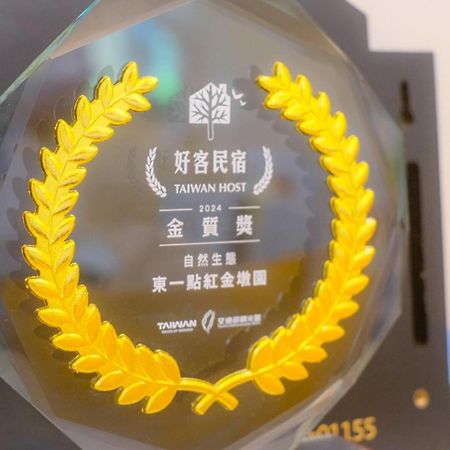 金宁乡东一点紅金墩园公寓 外观 照片